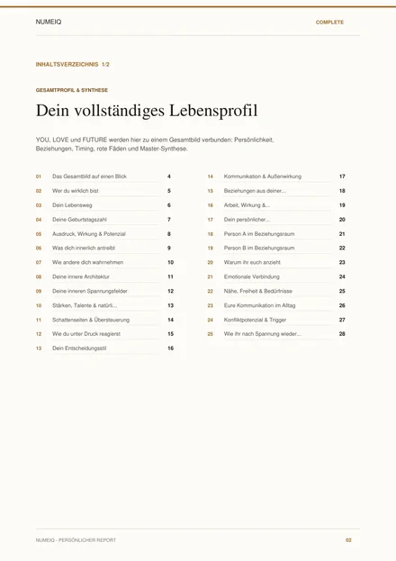 Echte Vorschauseiten des NUMEIQ COMPLETE Demo Reports 2
