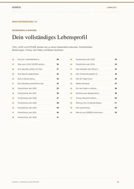 Echte Vorschauseiten des NUMEIQ COMPLETE Demo Reports 3