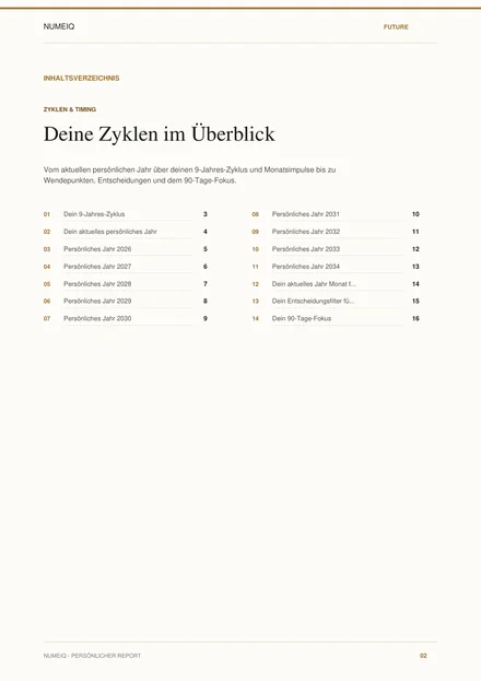 Echte Vorschauseiten des NUMEIQ FUTURE Demo Reports 2