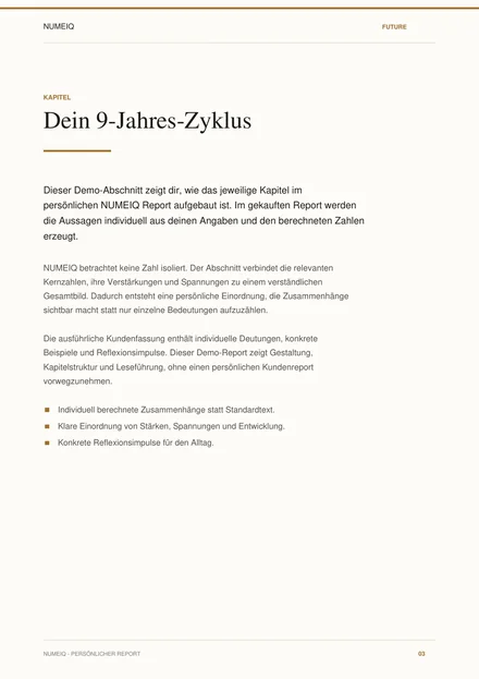 Echte Vorschauseiten des NUMEIQ FUTURE Demo Reports 3