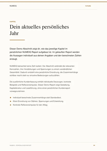 Echte Vorschauseiten des NUMEIQ FUTURE Demo Reports 4