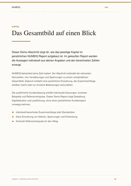Echte Vorschauseiten des NUMEIQ YOU Demo Reports 3