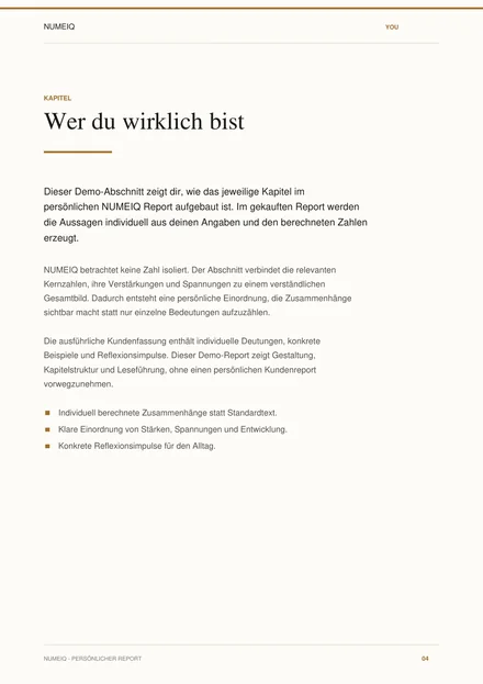 Echte Vorschauseiten des NUMEIQ YOU Demo Reports 4