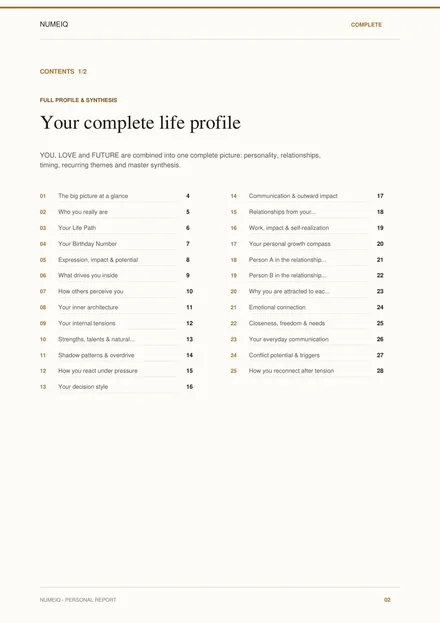 Real preview pages from the NUMEIQ COMPLETE demo report 2