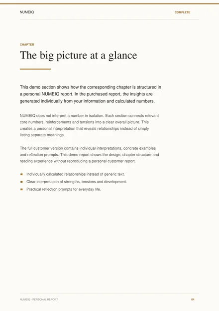 Real preview pages from the NUMEIQ COMPLETE demo report 4