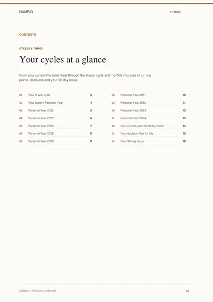 Real preview pages from the NUMEIQ FUTURE demo report 2
