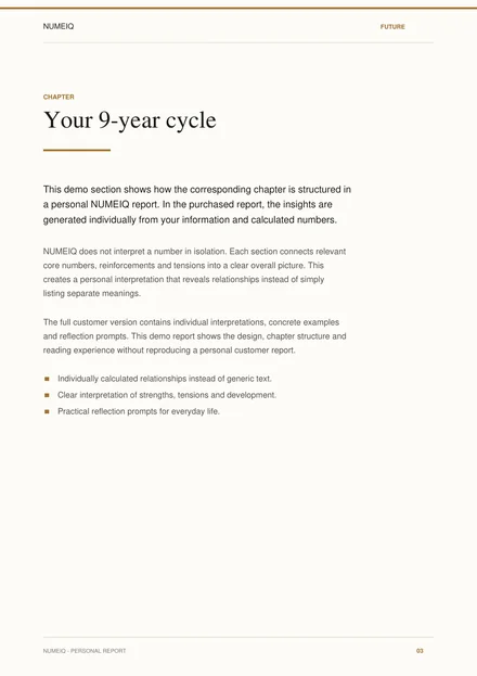 Real preview pages from the NUMEIQ FUTURE demo report 3