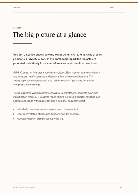 Real preview pages from the NUMEIQ YOU demo report 3