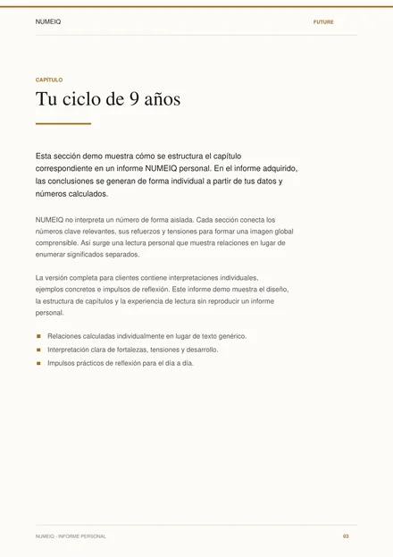 Páginas reales de vista previa del informe demo NUMEIQ FUTURE 3