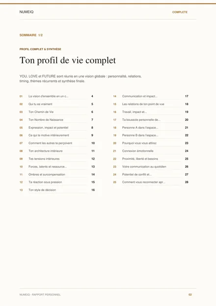Vraies pages de prévisualisation du rapport démo NUMEIQ COMPLETE 2