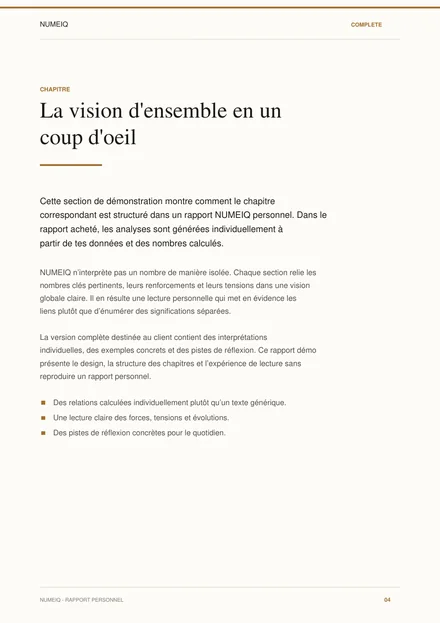 Vraies pages de prévisualisation du rapport démo NUMEIQ COMPLETE 4