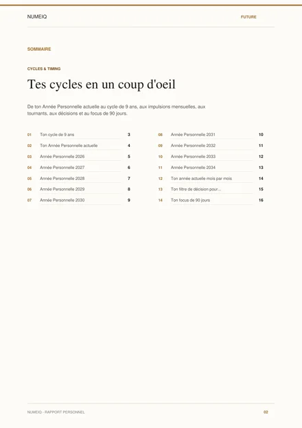 Vraies pages de prévisualisation du rapport démo NUMEIQ FUTURE 2