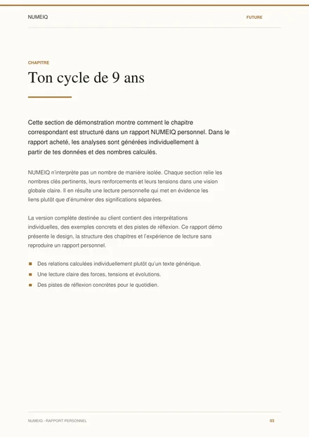 Vraies pages de prévisualisation du rapport démo NUMEIQ FUTURE 3