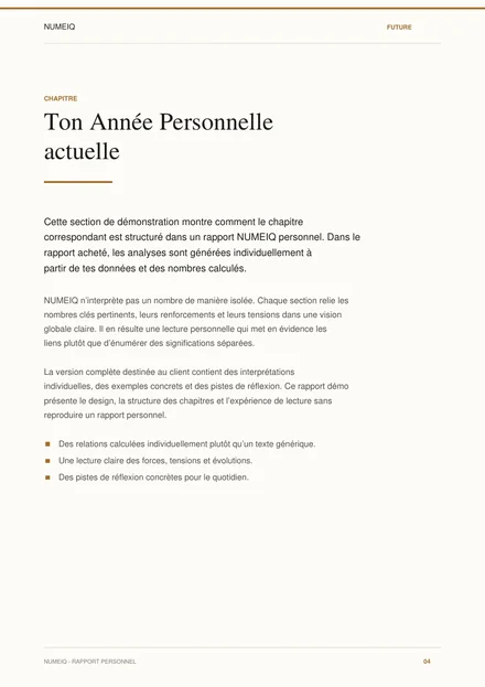 Vraies pages de prévisualisation du rapport démo NUMEIQ FUTURE 4