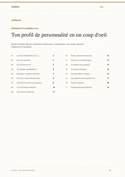 Vraies pages de prévisualisation du rapport démo NUMEIQ YOU 2