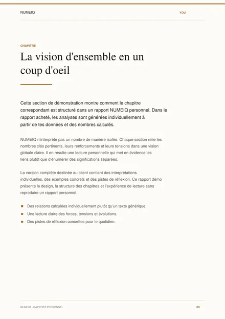 Vraies pages de prévisualisation du rapport démo NUMEIQ YOU 3
