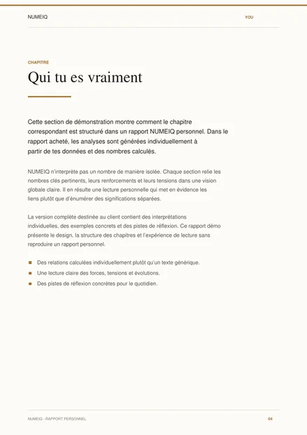 Vraies pages de prévisualisation du rapport démo NUMEIQ YOU 4