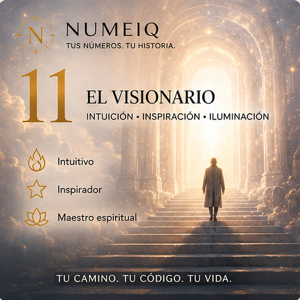 Números de vida 11