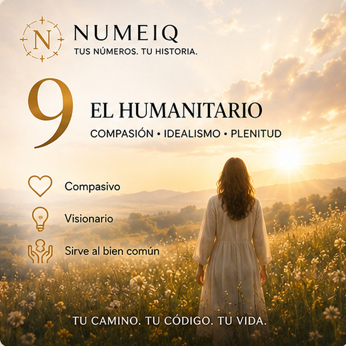 Números de vida 9