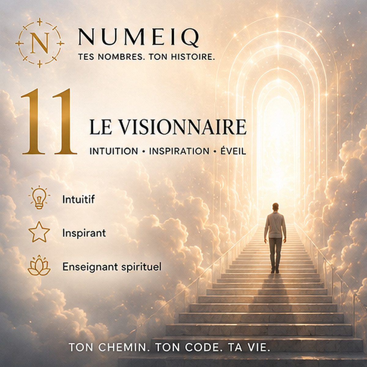 Chemins de vie 11
