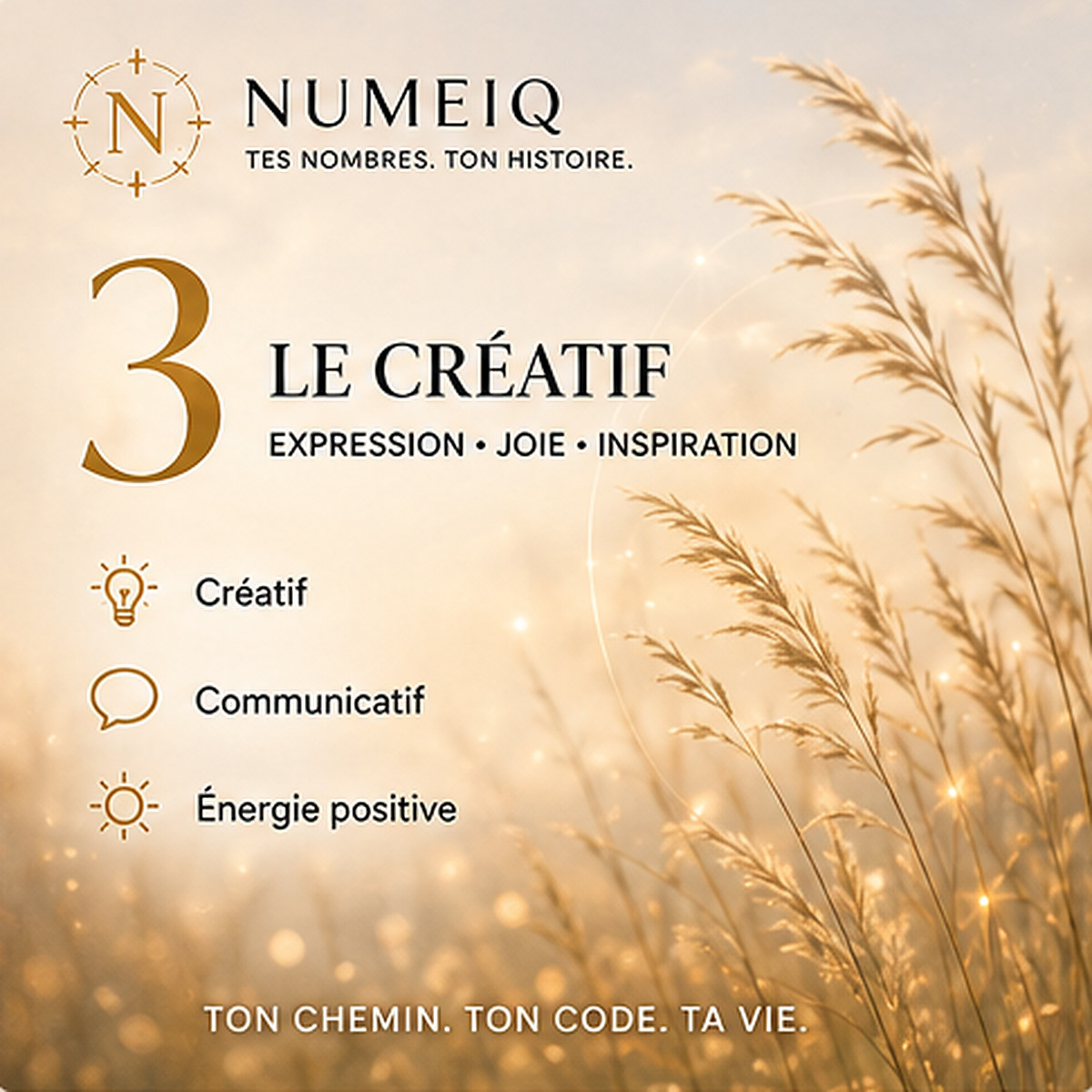 Chemins de vie 3